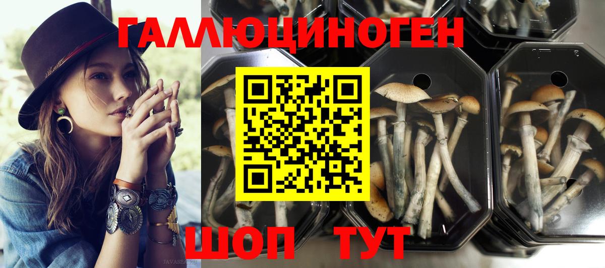 Псилоцибиновые грибы Cubensis  Вход с VPN  Сухой Лог  Псилоцибиновые грибы прущие грибы 
